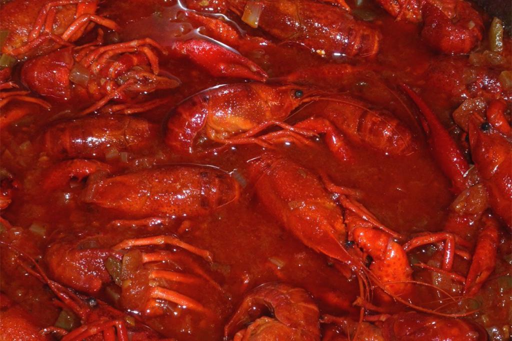Crayfish and mining pollution: An unfortunate combination